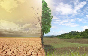 Με «ερημοποίηση» κινδυνεύει το ένα τρίτο των ελληνικών εδαφών