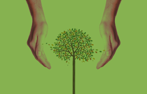 Να φυτέψουμε 1 τρισ. νέα δένδρα για να «φρενάρουμε» την κλιματική αλλαγή προτείνουν επιστήμονες